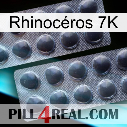 Rhinocéros 7K 31